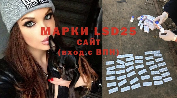 винт Алексин