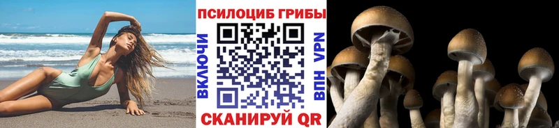 Галлюциногенные грибы ЛСД  Ржев 