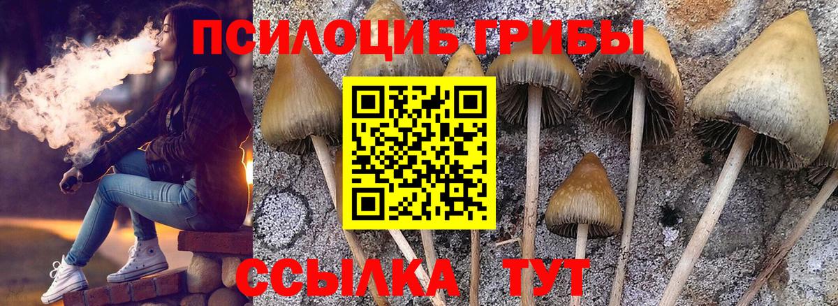 Псилоцибиновые грибы GOLDEN TEACHER Ржев