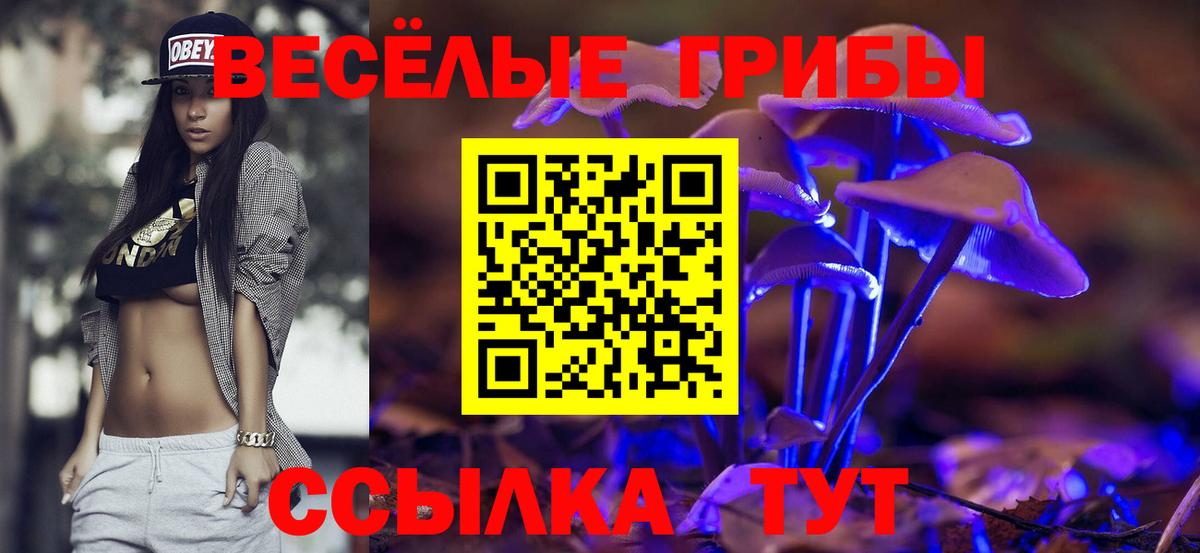 Ржев  Псилоцибиновые грибы Cubensis  Вход с VPN  Псилоцибиновые грибы Cubensis 
